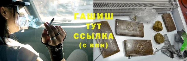индика Аркадак