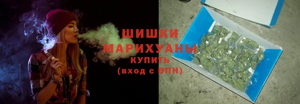 дурь Арсеньев