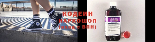 индика Аркадак