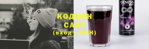 дурь Арсеньев