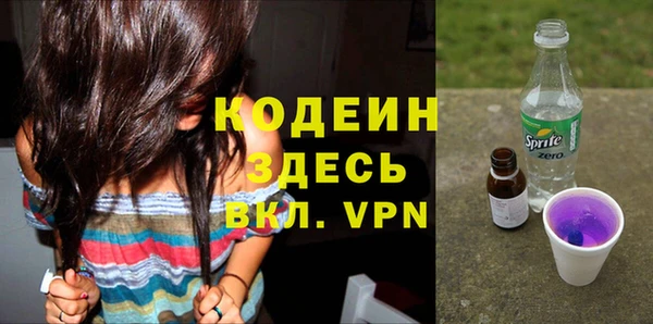 дурь Арсеньев