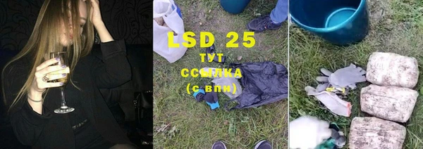 индика Аркадак