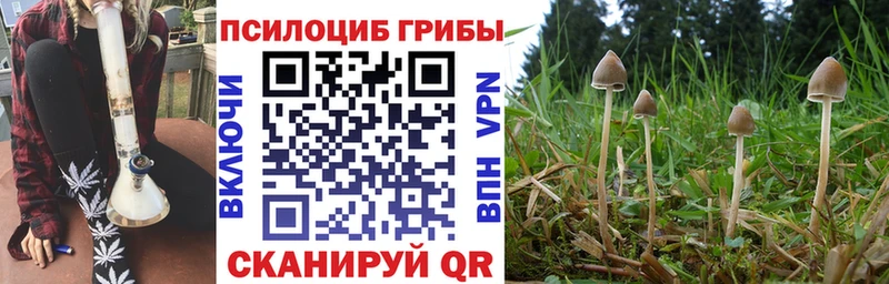 где продают наркотики  Ступино  Галлюциногенные грибы GOLDEN TEACHER 